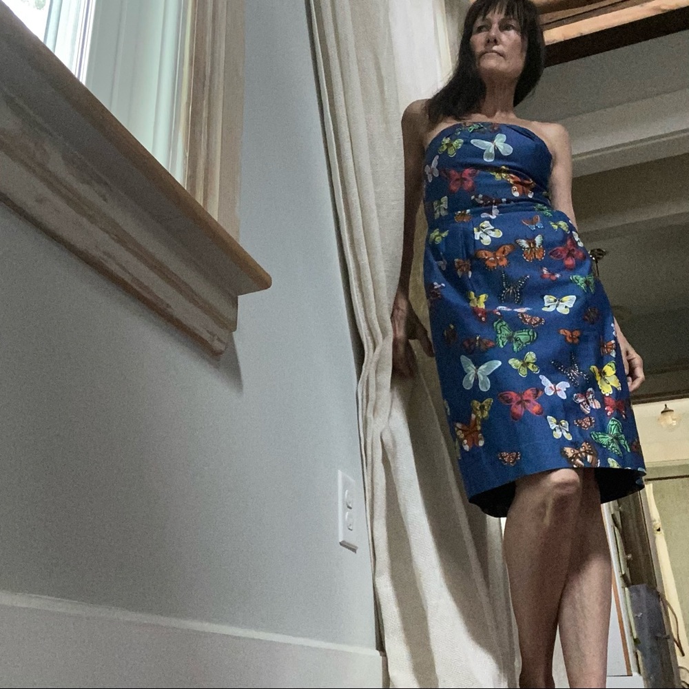 Anthropologie Nathalie lete Paris dress - Picture 4 of 15